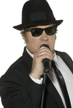 Blues Brothers Sunglasses 30613