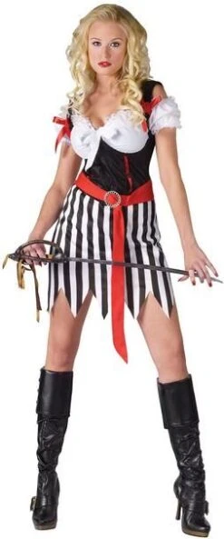 Playful Pirate Costume 121464