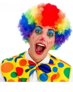 Rainbow Afro Wig EW-8189