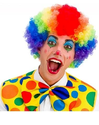 Rainbow Afro Wig EW-8189