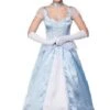 Sweet Cinders Costume EF-2138