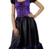 Saucy Saloon Girl Costume EF-2079